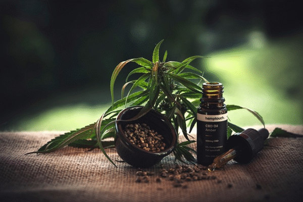 een flesje met cbd olie en een hennepplantje